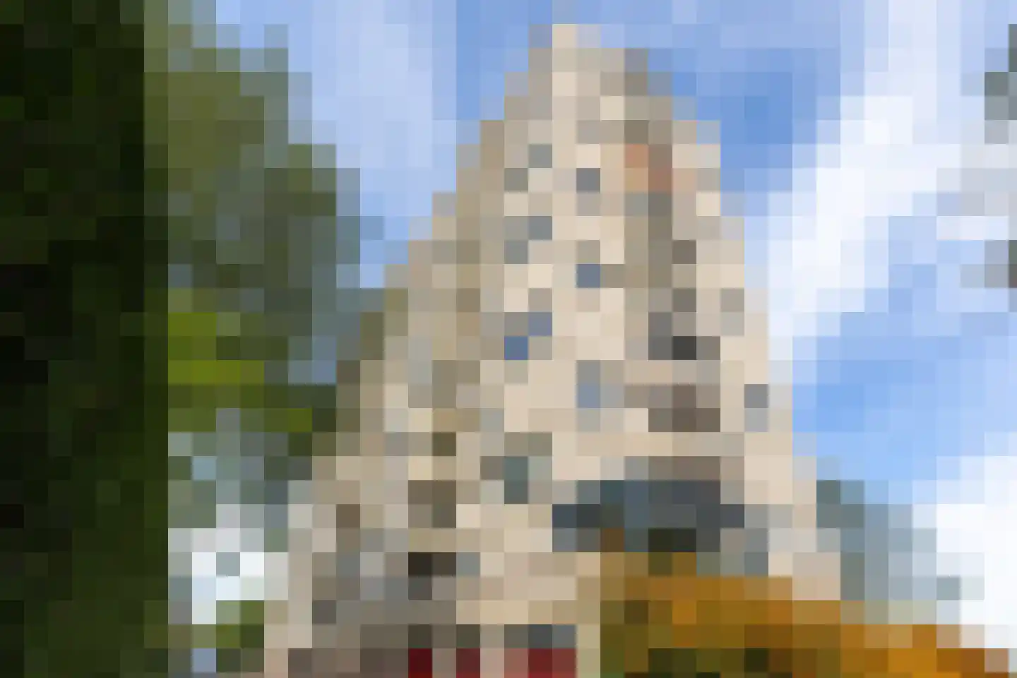 Vergiliuslaan 122 's-Hertogenbosch thumbnail 59