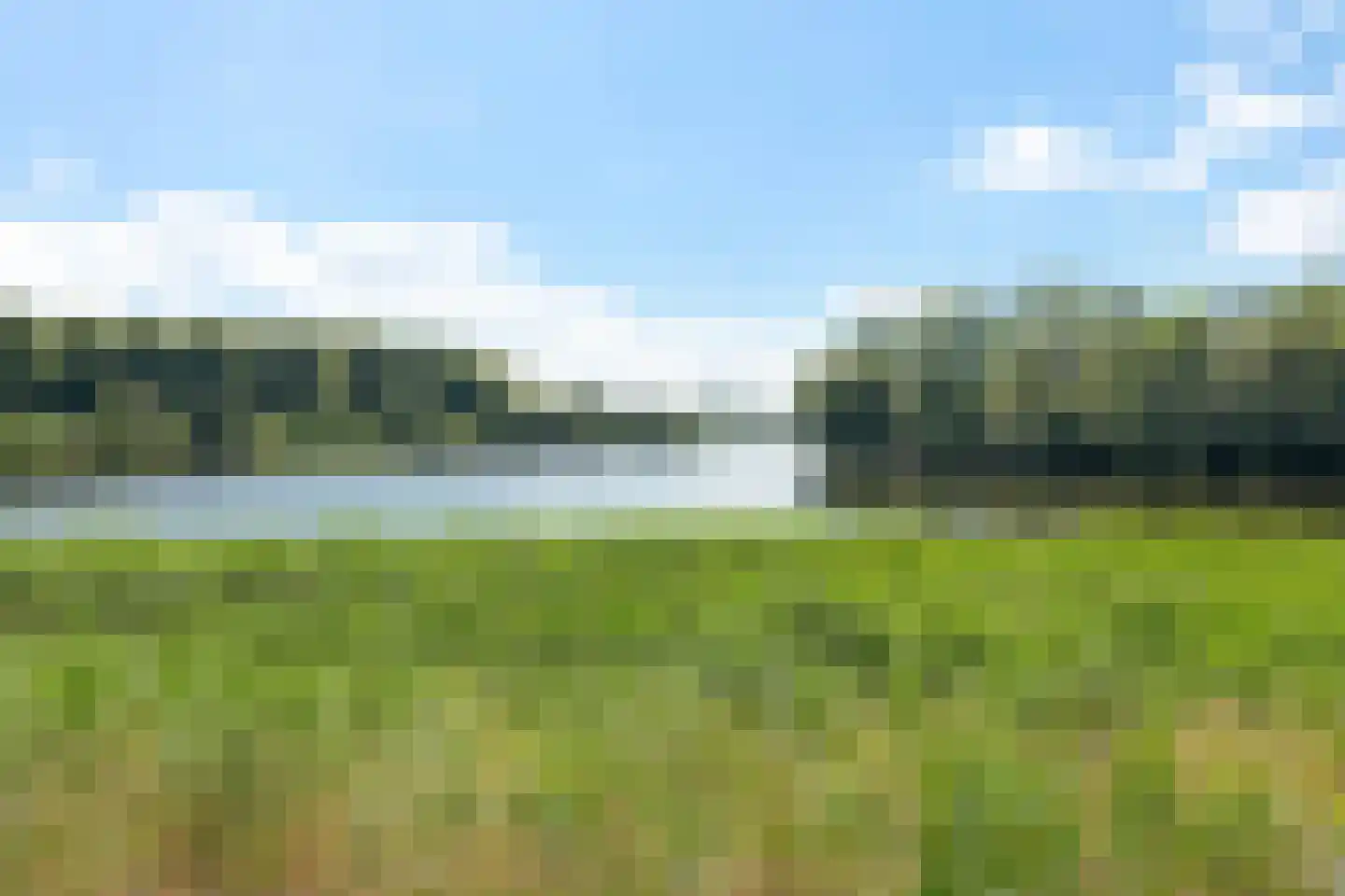 Vergiliuslaan 34 's-Hertogenbosch thumbnail 24