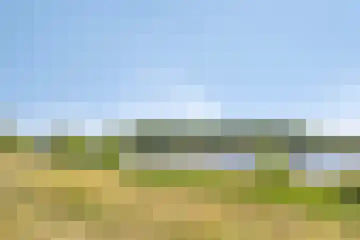 Vergiliuslaan 36 's-Hertogenbosch thumbnail 23