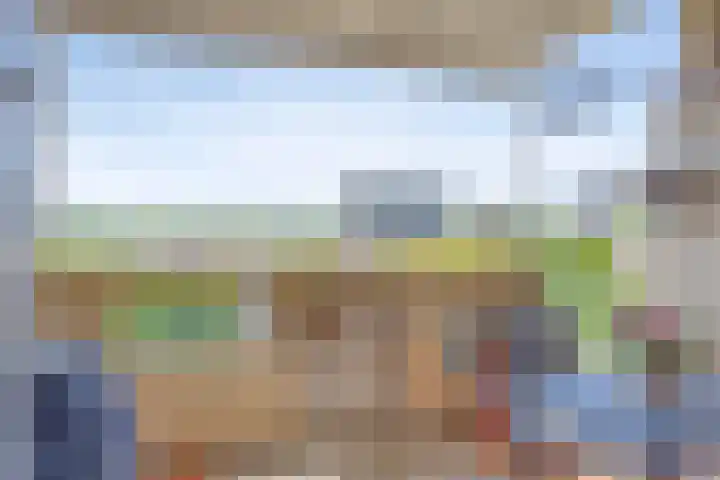Vergiliuslaan 36 's-Hertogenbosch thumbnail 4