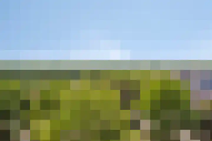Vergiliuslaan 36 's-Hertogenbosch thumbnail 5