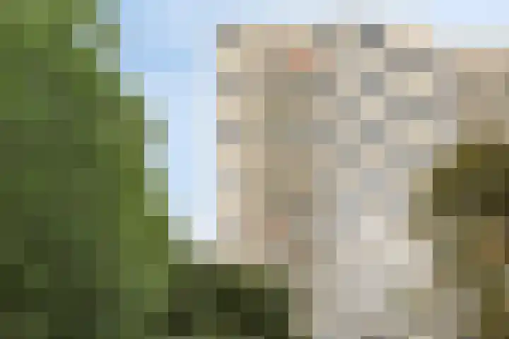Vergiliuslaan 50 's-Hertogenbosch thumbnail 27