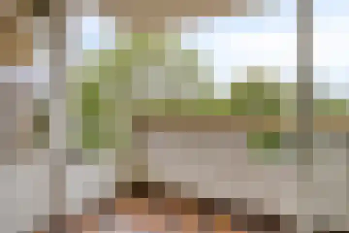 Vergiliuslaan 88 's-Hertogenbosch thumbnail 13