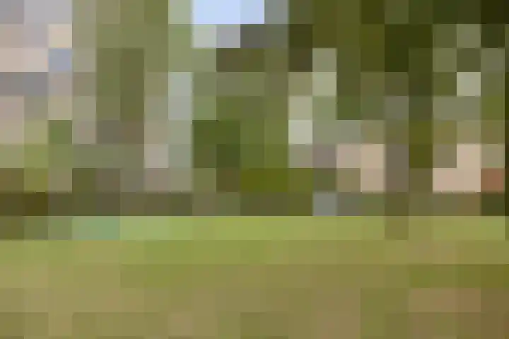 Vergiliuslaan 88 's-Hertogenbosch thumbnail 26