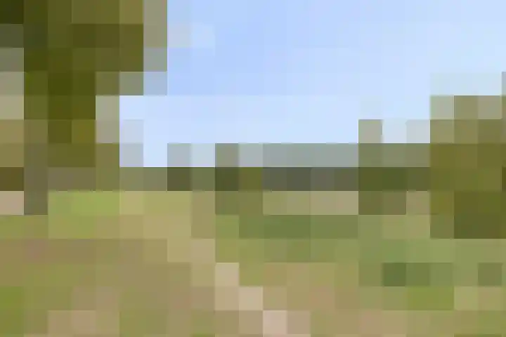 Vergiliuslaan 88 's-Hertogenbosch thumbnail 27