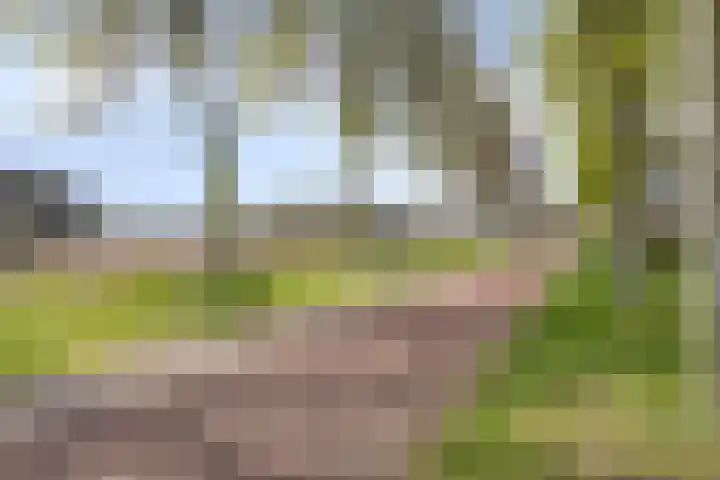 Vergiliuslaan 88 's-Hertogenbosch thumbnail 29