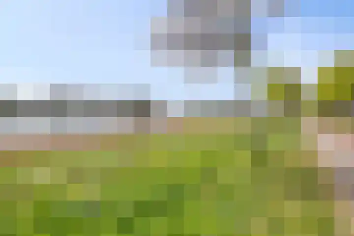 Vergiliuslaan 88 's-Hertogenbosch thumbnail 32