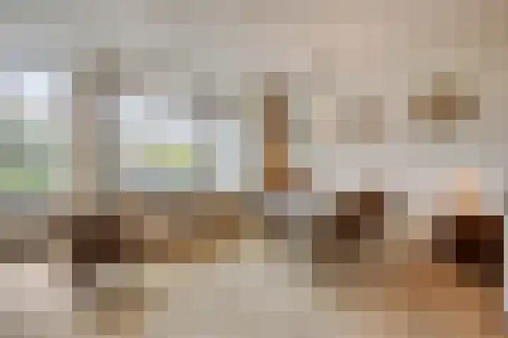 Vergiliuslaan 88 's-Hertogenbosch thumbnail 8