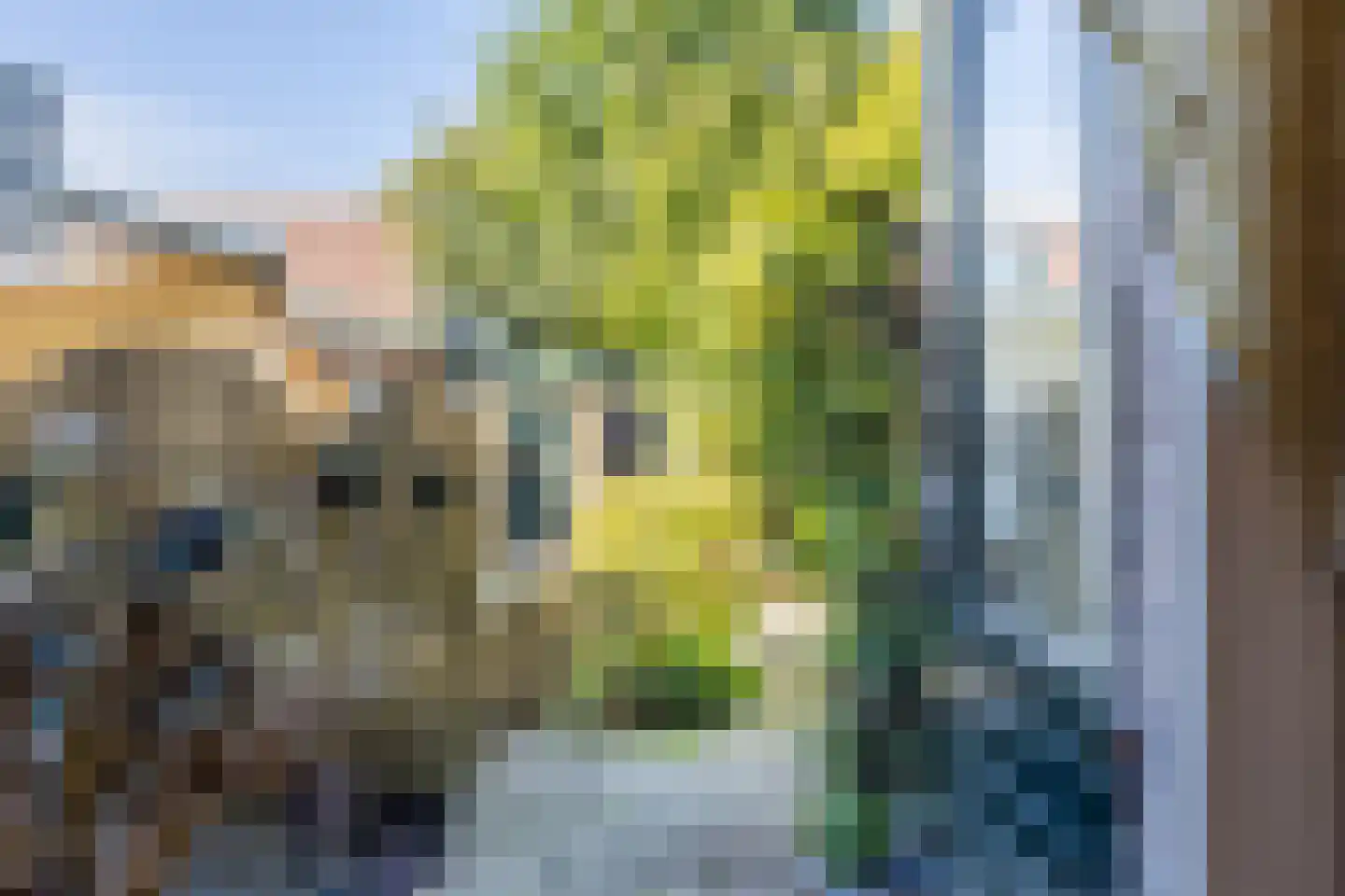 Vergiliusstraat 11 Zaandam thumbnail 27