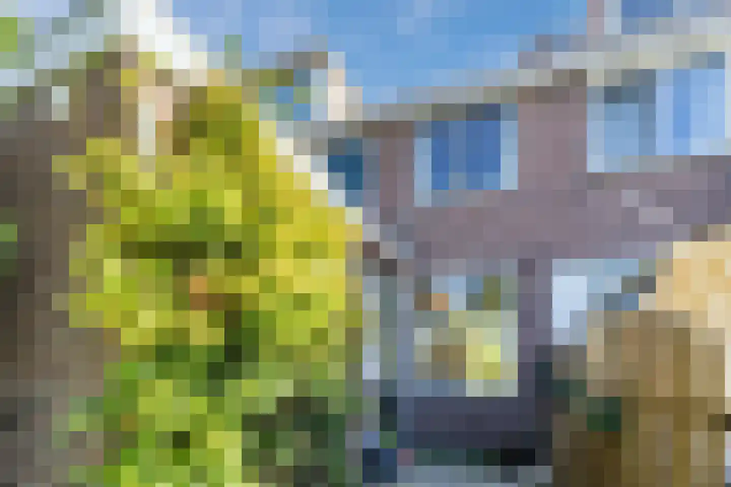 Vergiliusstraat 11 Zaandam thumbnail 4