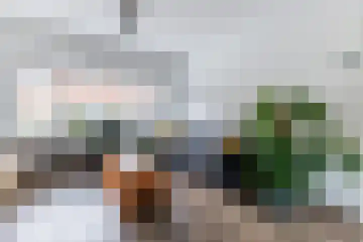 Vergiliusstraat 26 Zaandam thumbnail 14