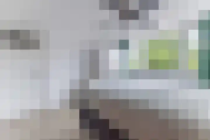 Vergiliusstraat 26 Zaandam thumbnail 28