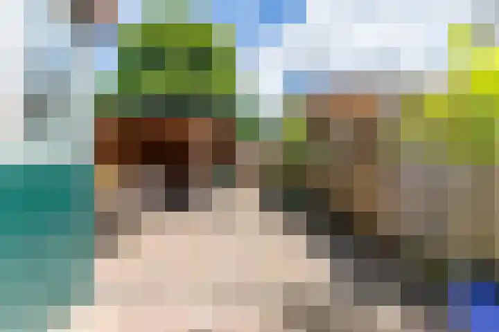 Vergiliusstraat 26 Zaandam thumbnail 43