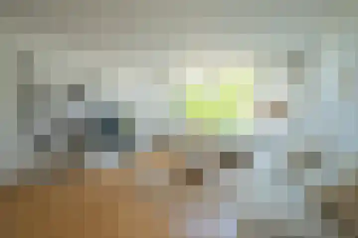 Vergiliusstraat 3 C Heerlen thumbnail 12