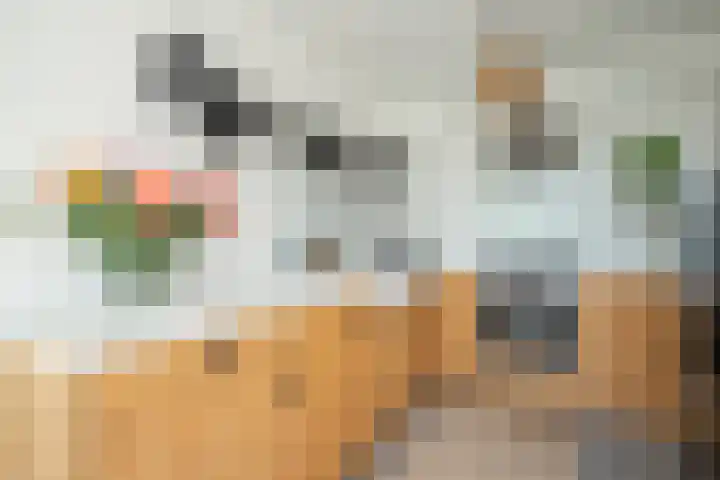 Vergiliusstraat 3 C Heerlen thumbnail 17