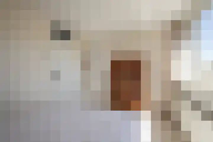 Vergiliusstraat 3 C Heerlen thumbnail 23