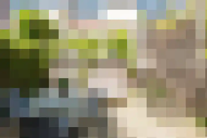 Vergiliusstraat 3 C Heerlen thumbnail 9