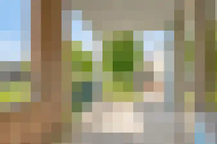 Vergiliusstraat 48 D Rotterdam thumbnail 17