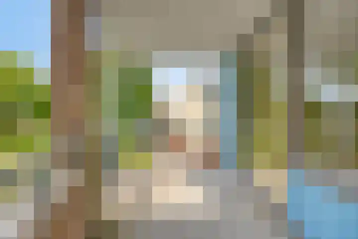 Vergiliusstraat 48 D Rotterdam thumbnail 18