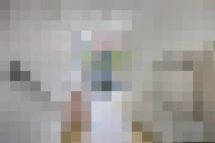 Vergiliusstraat 48 D Rotterdam thumbnail 23