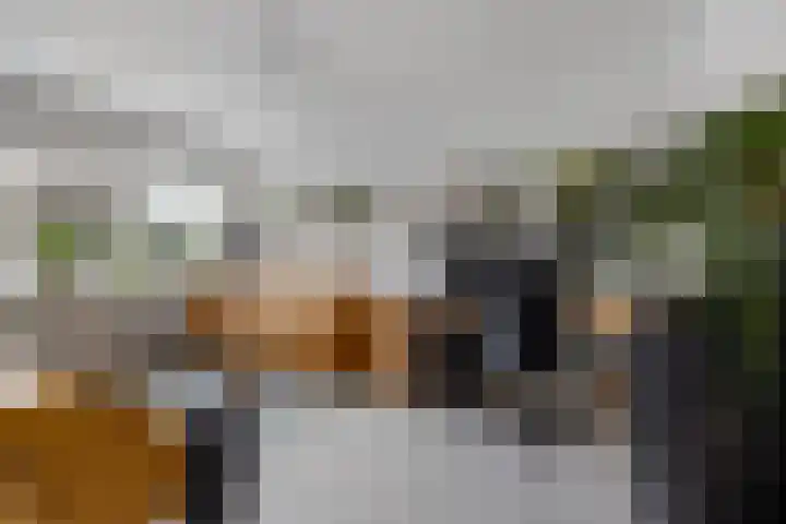 Vergiliusstraat 5 Leiden thumbnail 11