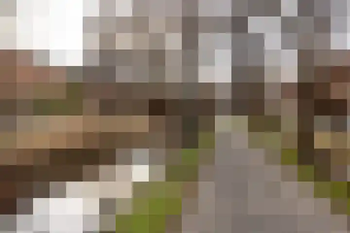 Vergiliusstraat 5 Leiden thumbnail 24