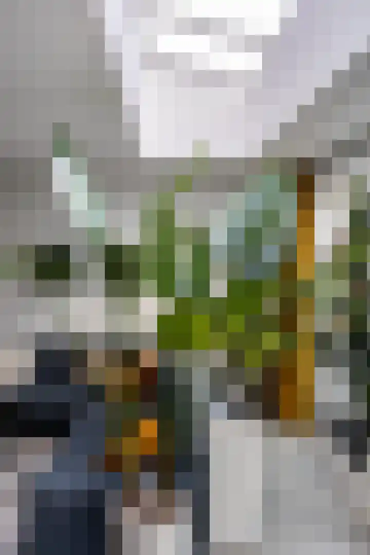 Vergiliusstraat 5 Leiden thumbnail 26