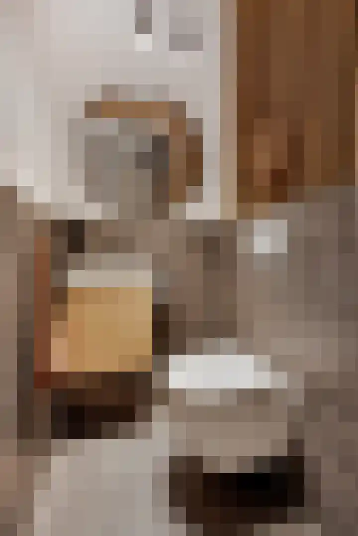 Vergiliusstraat 5 Leiden thumbnail 30
