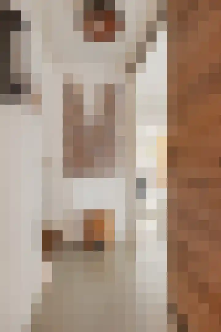 Vergiliusstraat 5 Leiden thumbnail 31