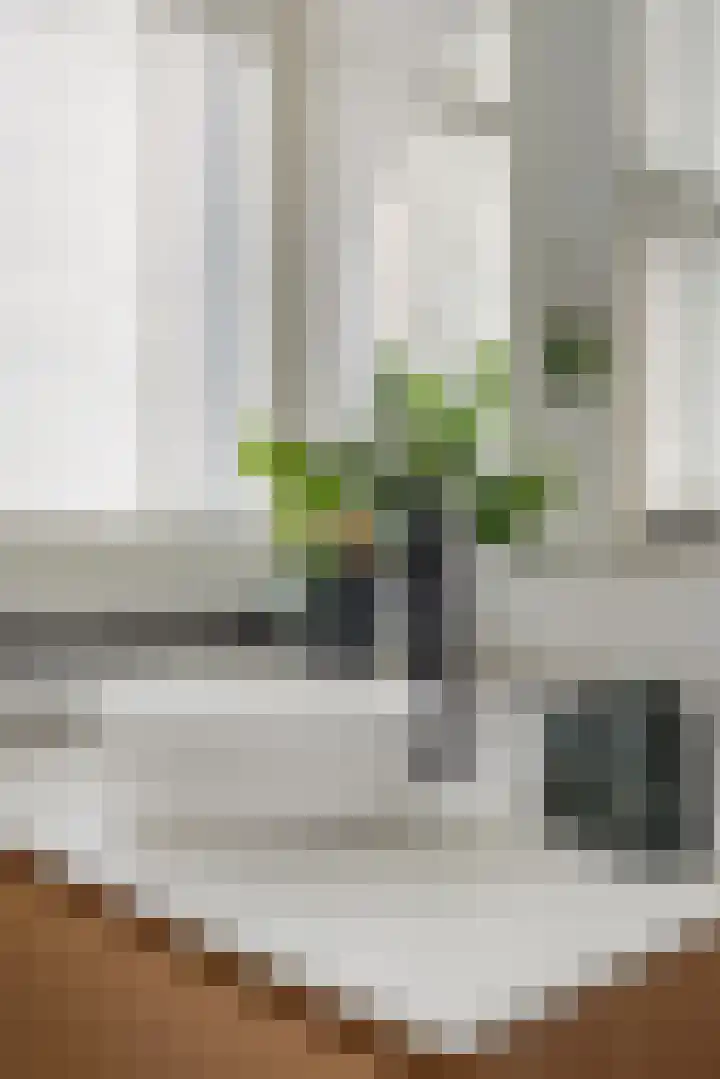 Vergiliusstraat 5 Leiden thumbnail 35