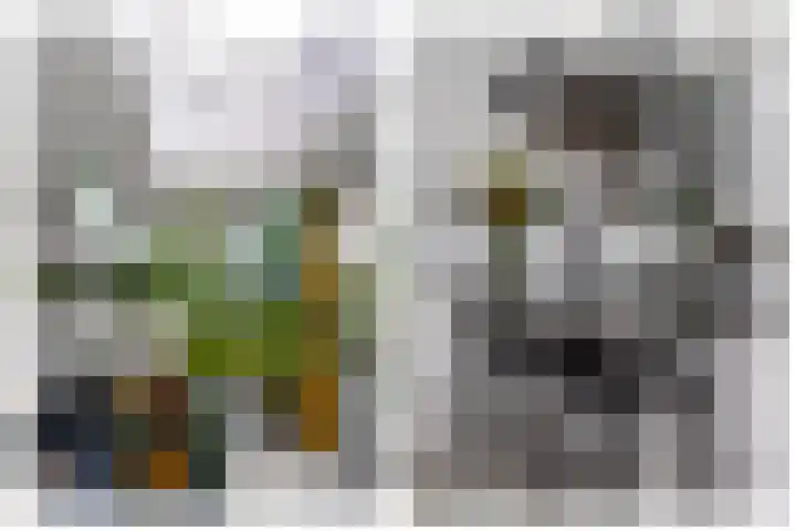Vergiliusstraat 5 Leiden thumbnail 5