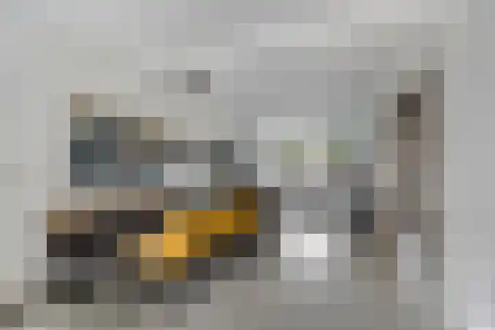 Vergiliusstraat 5 Leiden thumbnail 6