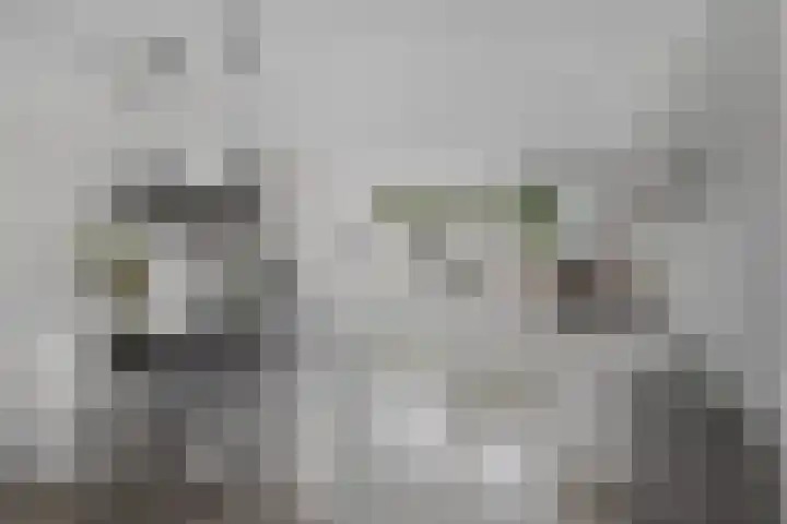 Vergiliusstraat 5 Leiden thumbnail 7