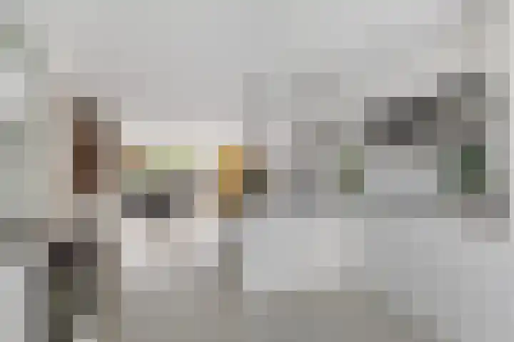 Vergiliusstraat 5 Leiden thumbnail 9