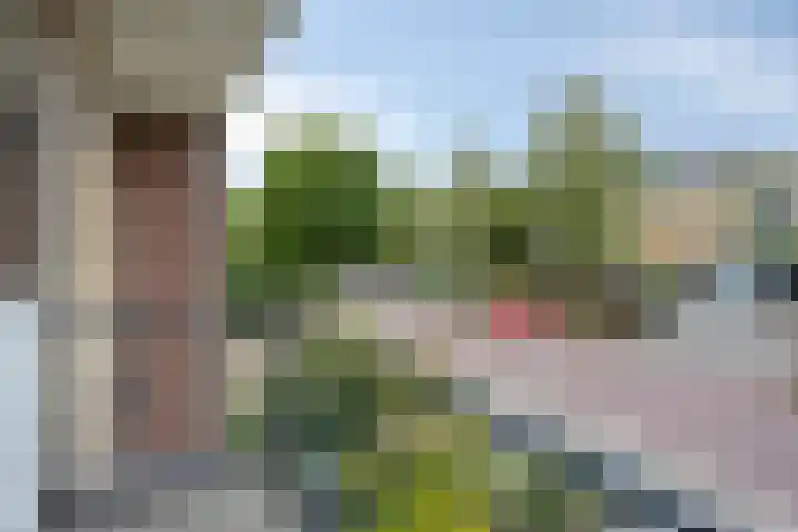 Vergtweg 49 Zaltbommel thumbnail 19