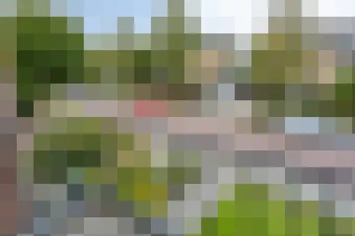 Vergtweg 49 Zaltbommel thumbnail 20