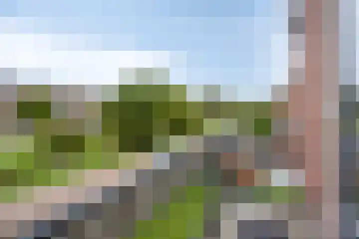 Vergtweg 49 Zaltbommel thumbnail 26