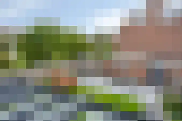 Vergtweg 49 Zaltbommel thumbnail 30