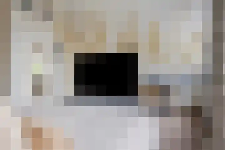 Vergtweg 49 Zaltbommel thumbnail 35