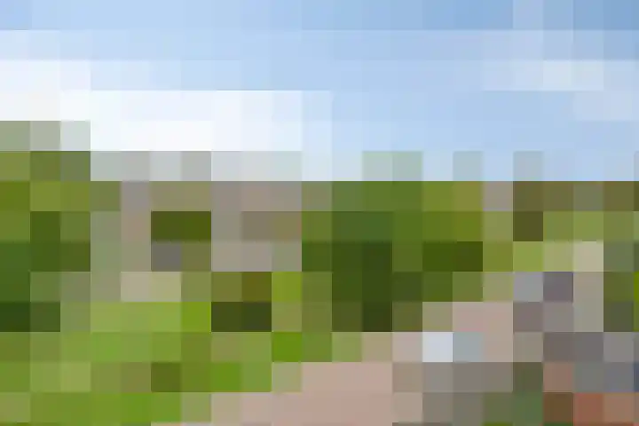 Vergtweg 49 Zaltbommel thumbnail 37
