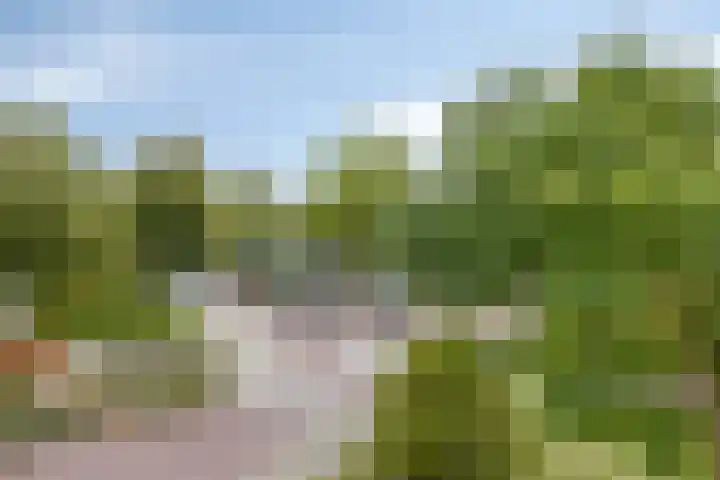 Vergtweg 49 Zaltbommel thumbnail 38