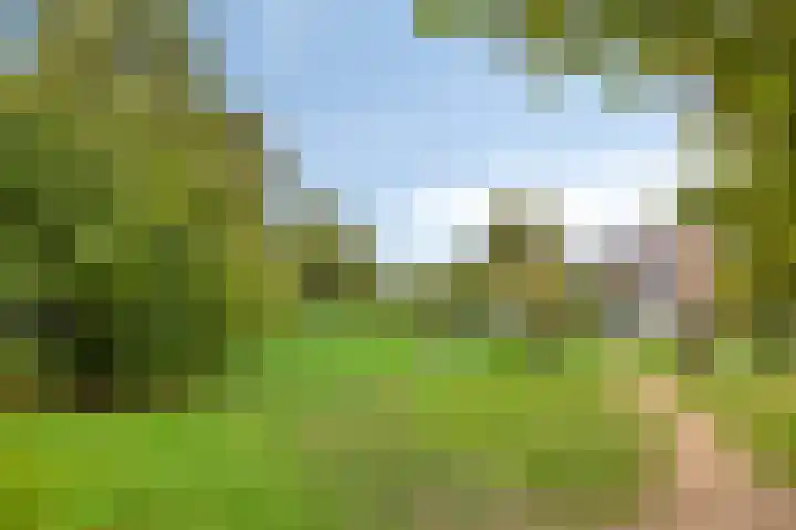 Vergtweg 49 Zaltbommel thumbnail 48