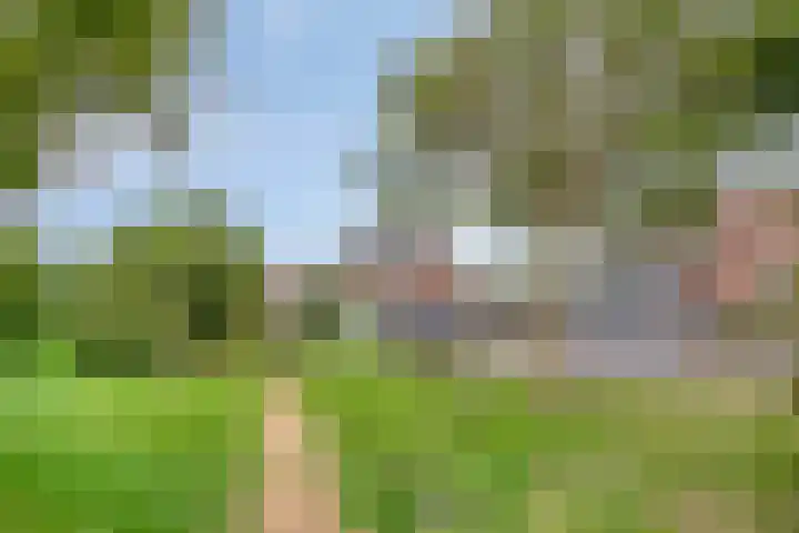 Vergtweg 49 Zaltbommel thumbnail 49