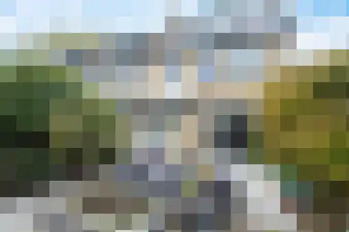 Vergtweg 91 Zaltbommel thumbnail 44