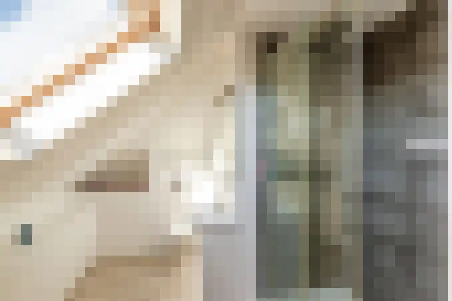 Vergulde Draakstraat 31 Almere thumbnail 42