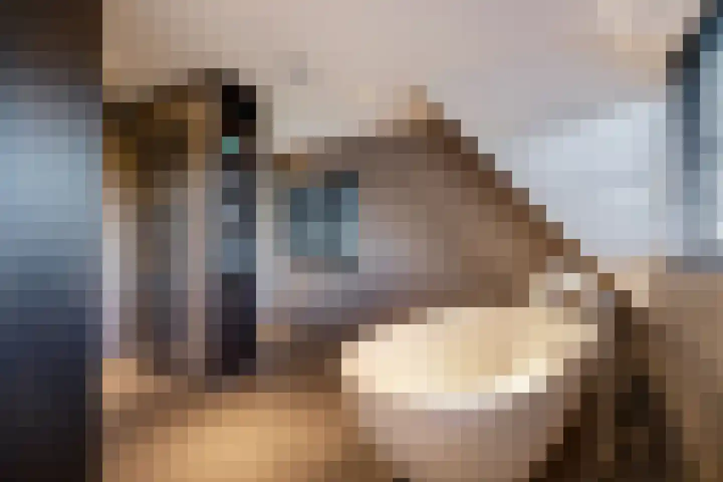 Vergulde Draakstraat 33 Almere thumbnail 38