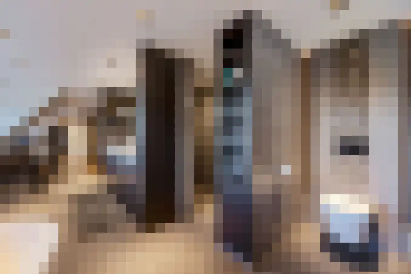 Vergulde Draakstraat 33 Almere thumbnail 39