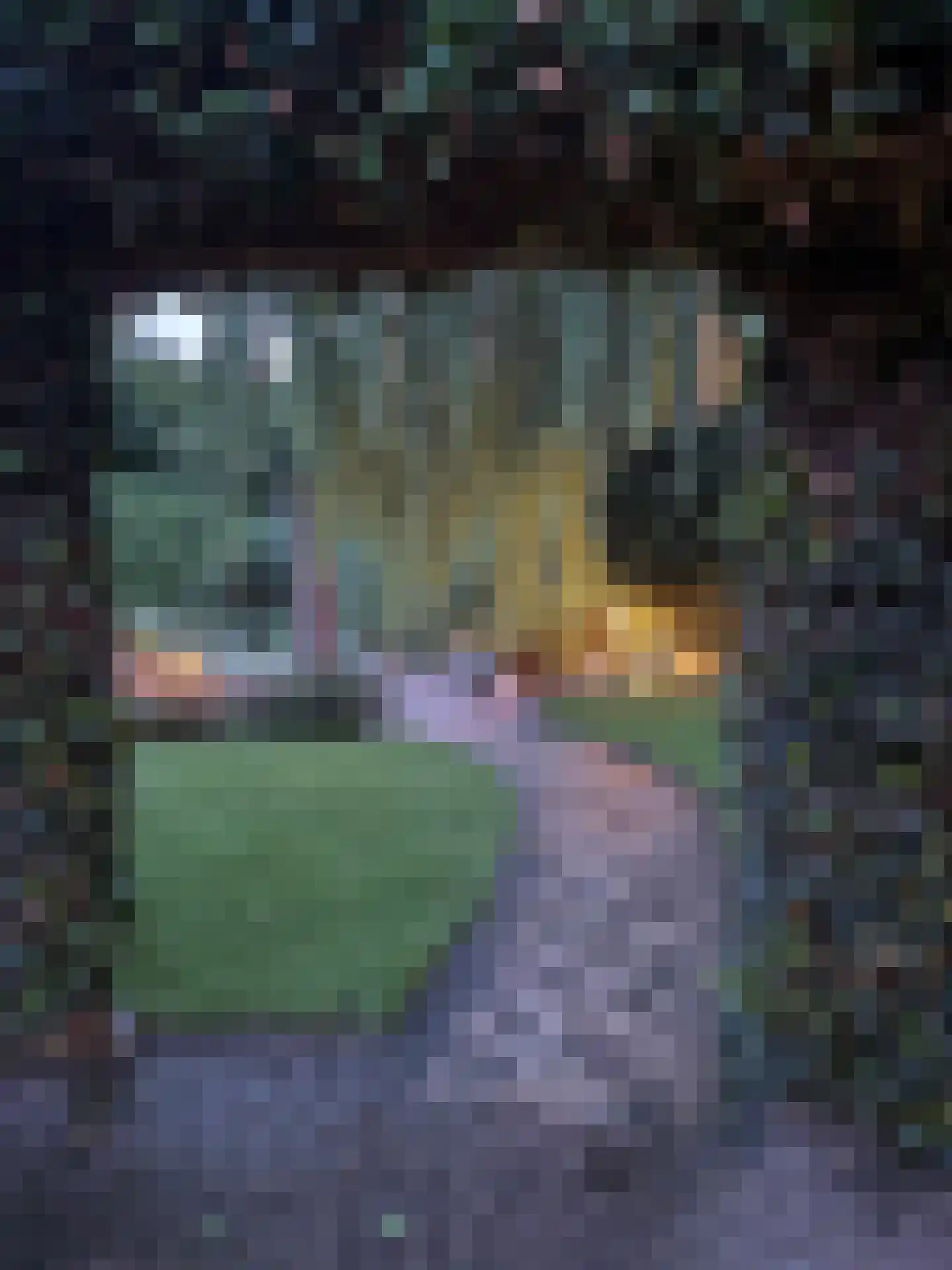 Vergulde Draakstraat 45 Almere thumbnail 72