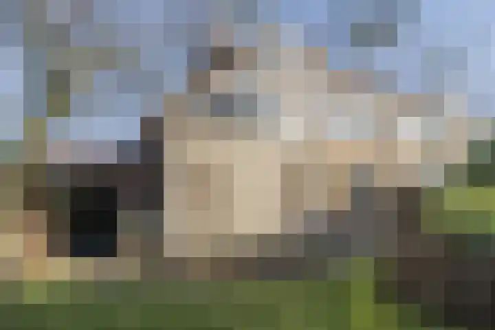 Vergulde Draeckweg 11 Hoek van Holland thumbnail 33