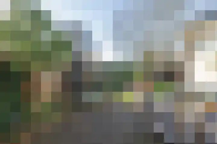 Vergulde Draeckweg 11 Hoek van Holland thumbnail 36